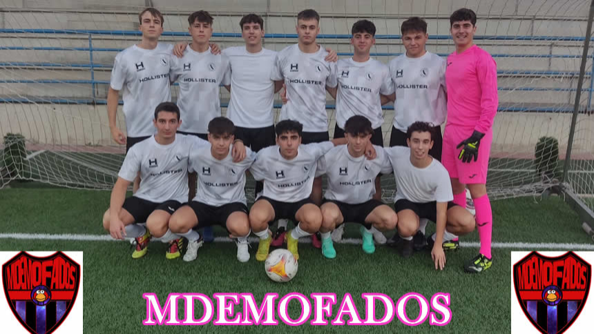 LIDERES A NAVIDAD. ZONA SUR DOMINGO TARDE 1ª DIVISION